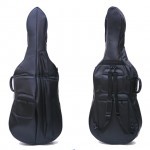 Leather Bag Cello